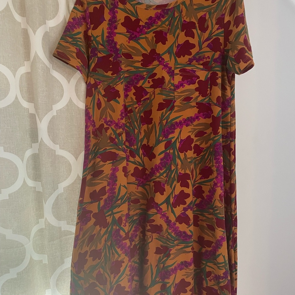 Lularoe Carly dress